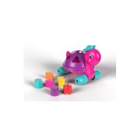 Kaplumbağa Bul Tak (MOR)